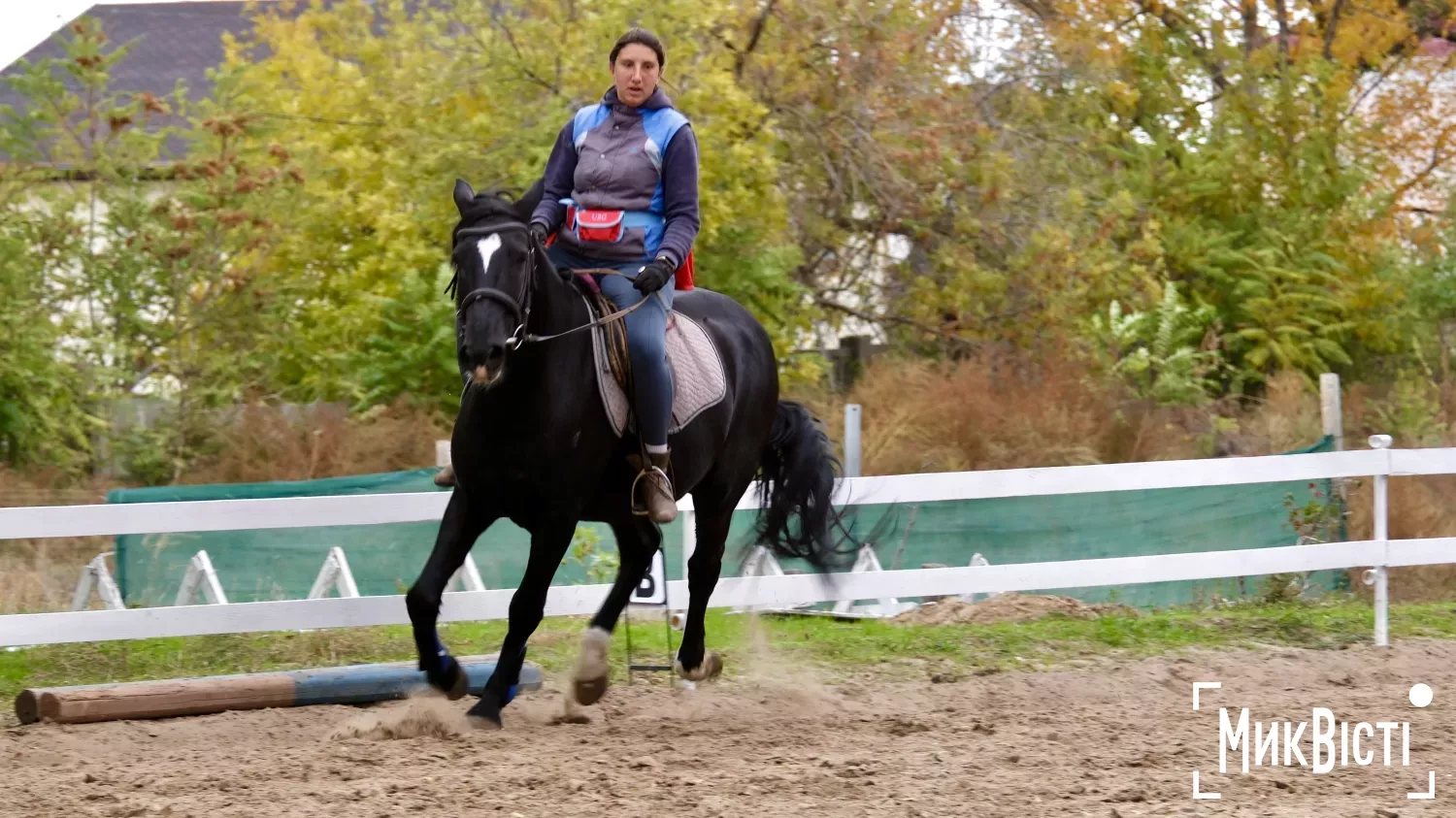 Приватна стайня імені Володимира Сороки у Миколаєві. Фото: «МикВісті»