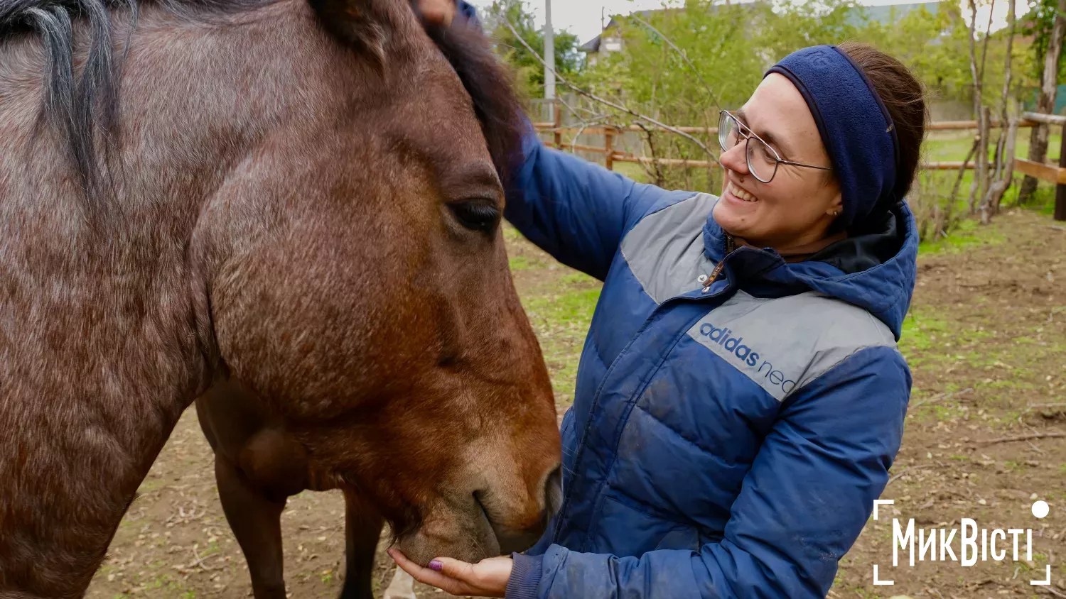 Приватна стайня імені Володимира Сороки у Миколаєві. Фото: «МикВісті»