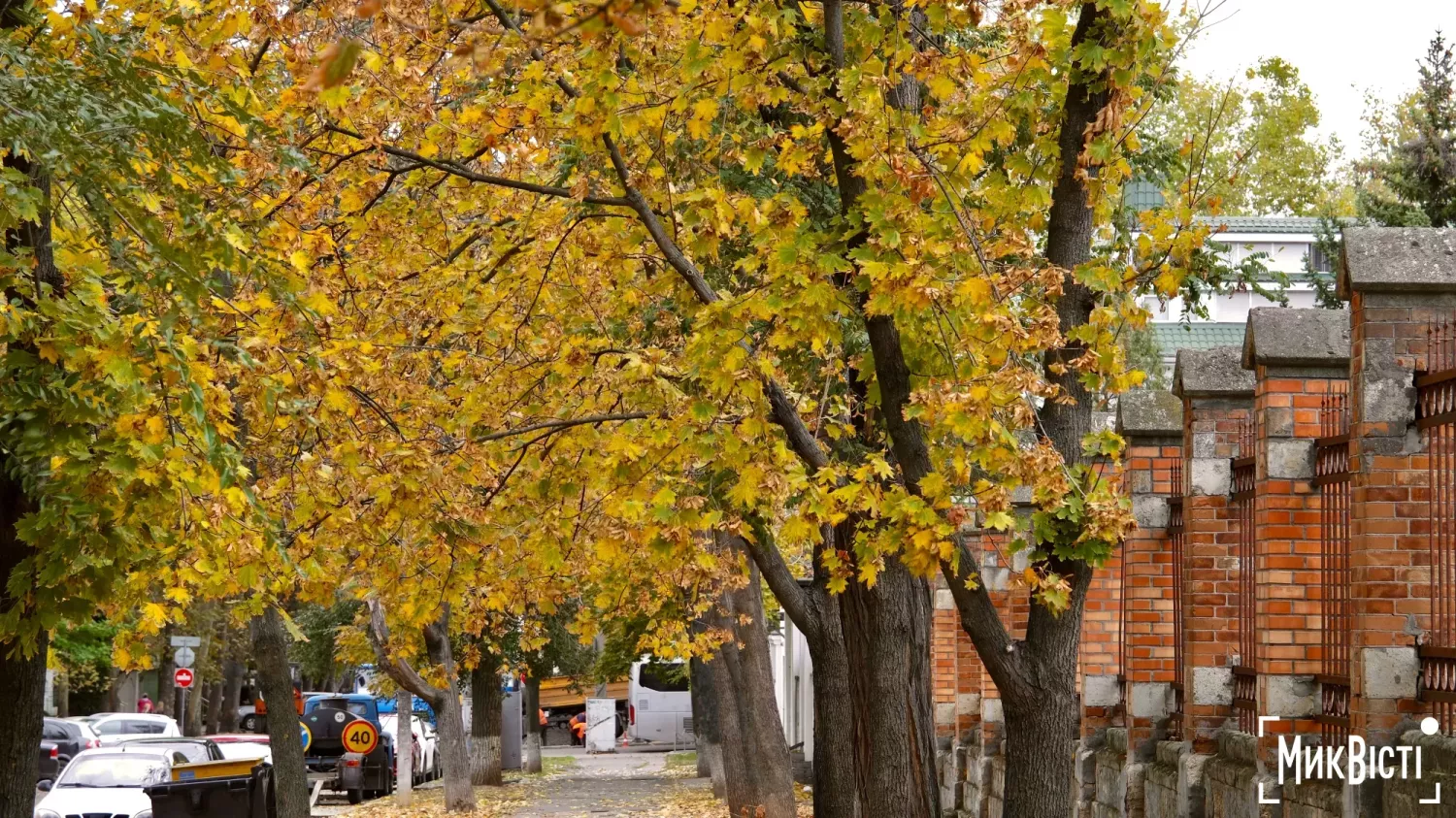 Осінній Миколаїв, жовтень 2025 рік. Фото: «МикВісті»