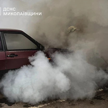 На Миколаївщині горів дах приватного будинку, автомобіль ВАЗ та відкрита територія