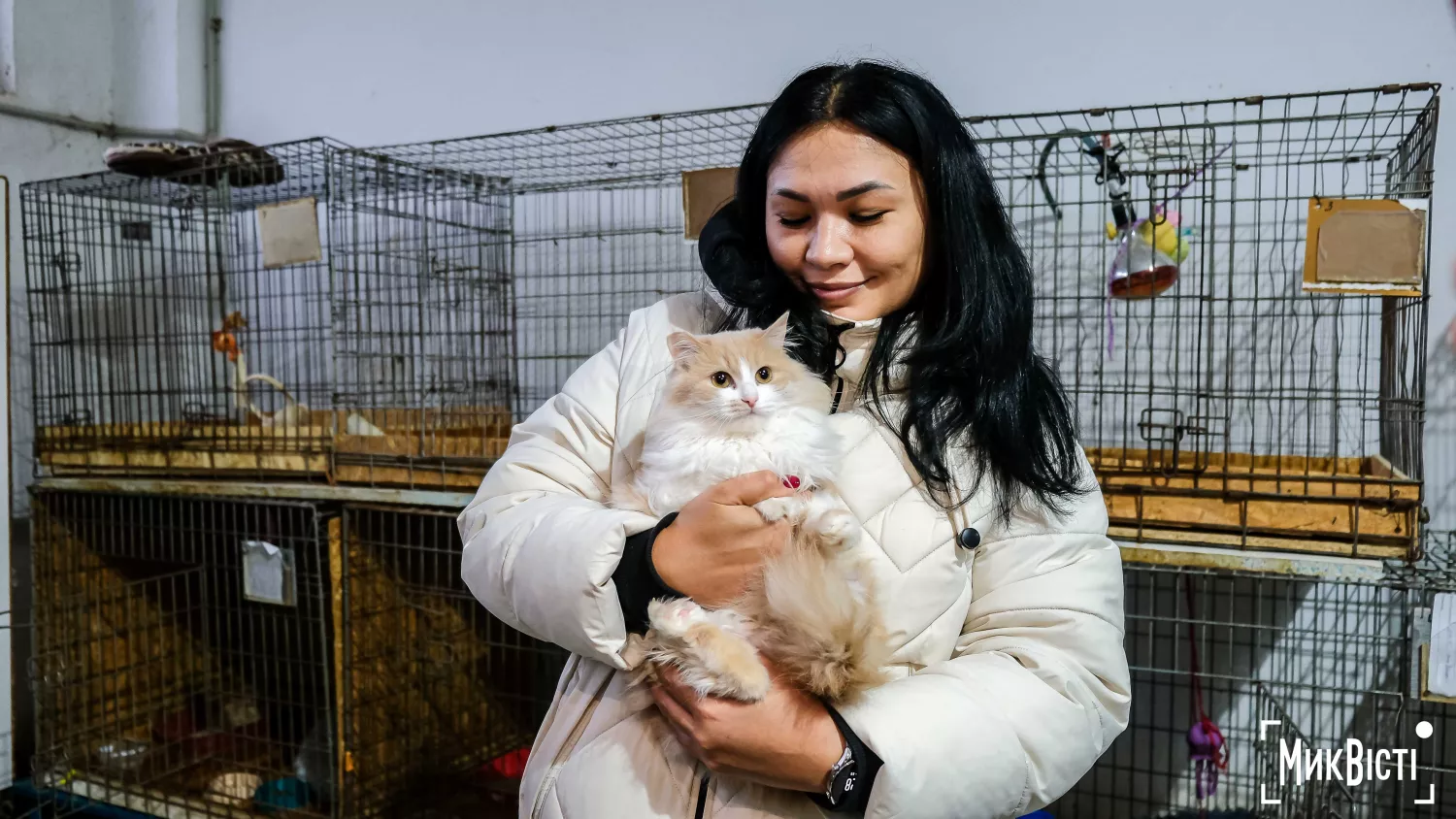 Як живуть тварини у прифронтовому Миколаєві. Фото: «НикВести»