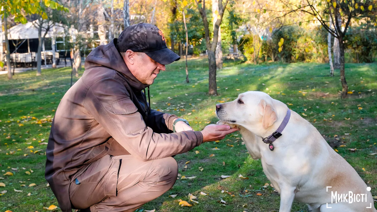 Як живуть тварини у прифронтовому Миколаєві. Фото: «НикВести»