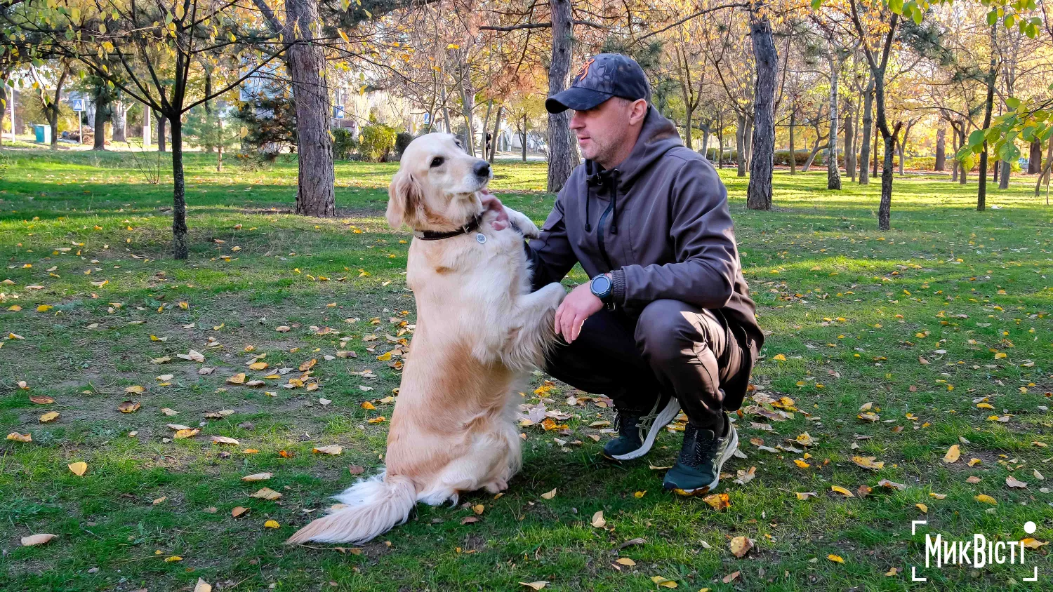 Як живуть тварини у прифронтовому Миколаєві. Фото: «НикВести»