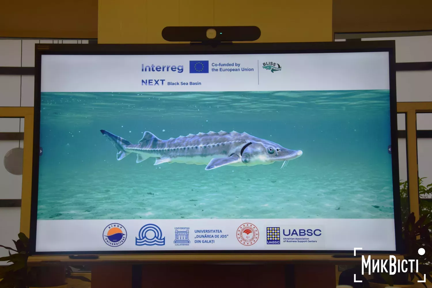 У Миколаєві презентували природоохоронний проєкт BLISS із збереження осетрових. Фото: «МикВісті»