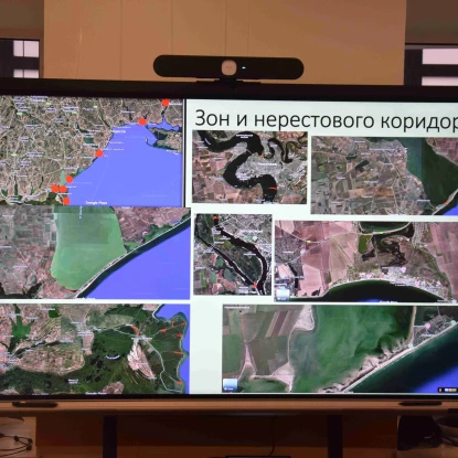 У Миколаєві презентували природоохоронний проєкт BLISS із збереження осетрових. Фото: «МикВісті»