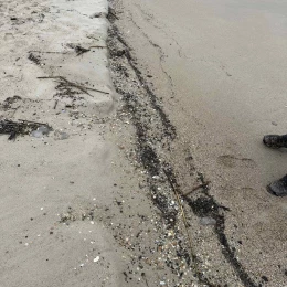 Після піврічної паузи в Затоці знову знайшли мазут на пляжі. Фото: Кароліно-Бугазька сільська рада