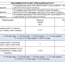 Скриншот документації, опублікованої в системі публічних закупівель ProZorro
