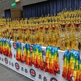 Миколаївські каратисти вибороли 11 медалей на чемпіонаті в Бухаресті. Фото: Федерація кіокушин карате у Миколаївській області