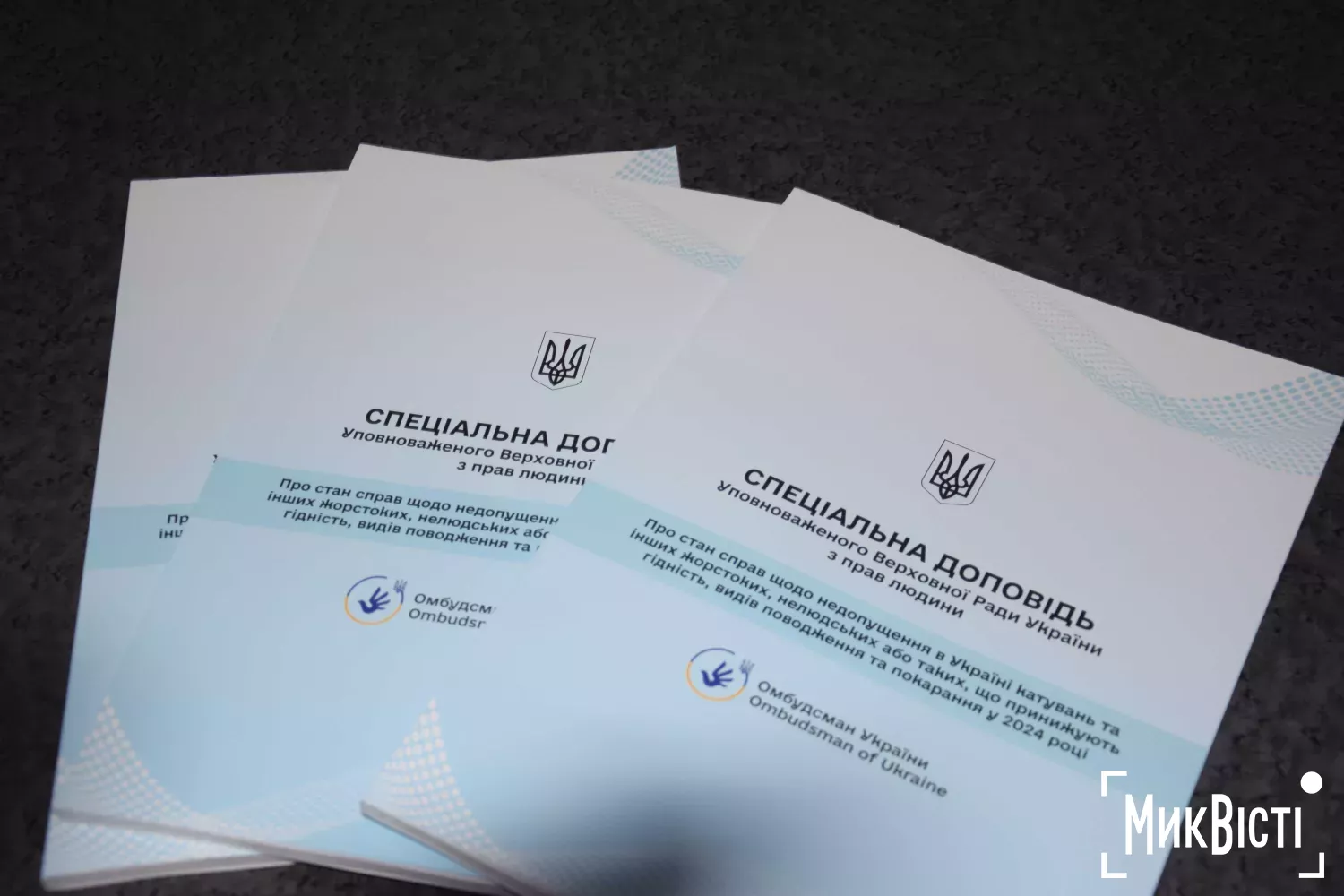 У Миколаєві пройшла правозахисна конференція до Міжнародного дня прав людини. Фото: НикВести