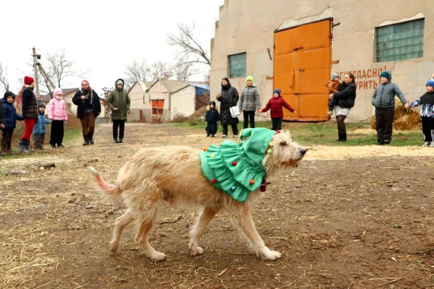 Благодійний день для дітей у миколаївській стайні імені Володимира Сороки. Фото надала Олександра Янєва