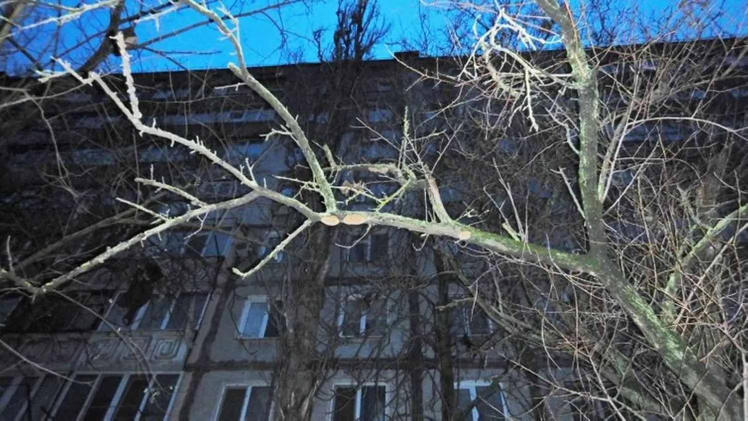 Фото: Нацполіція