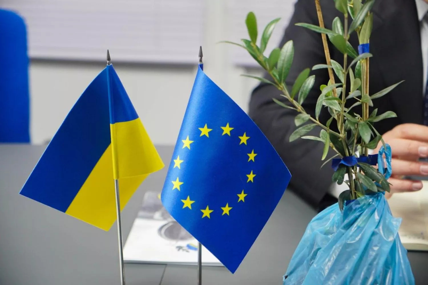 На Херсонщині планують висадити оливкові плантацій. Фото: Херсонська ОВА