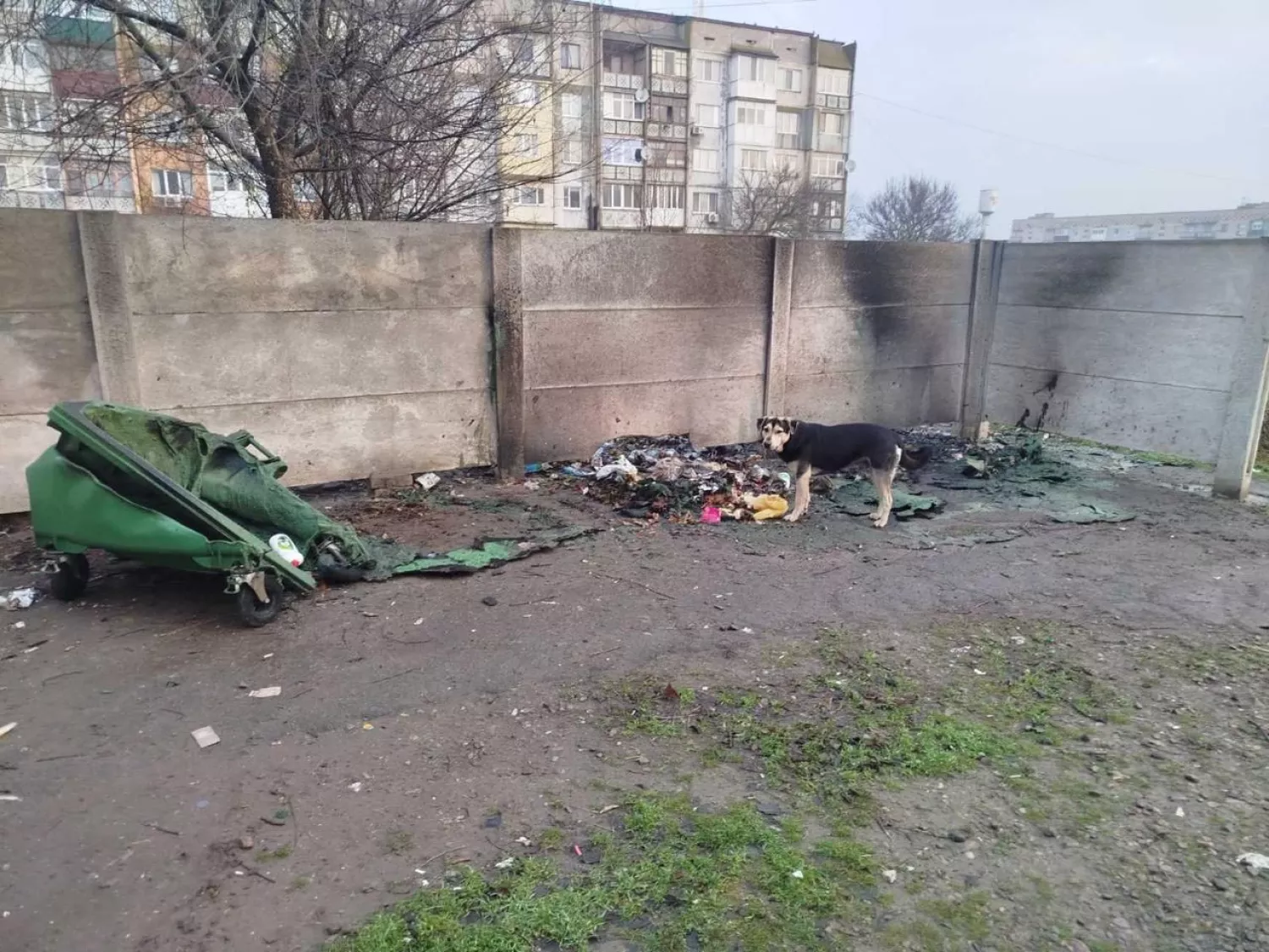 У Снігурівці невідомі підпалили чотири сміттєві баки. Фото: Іван