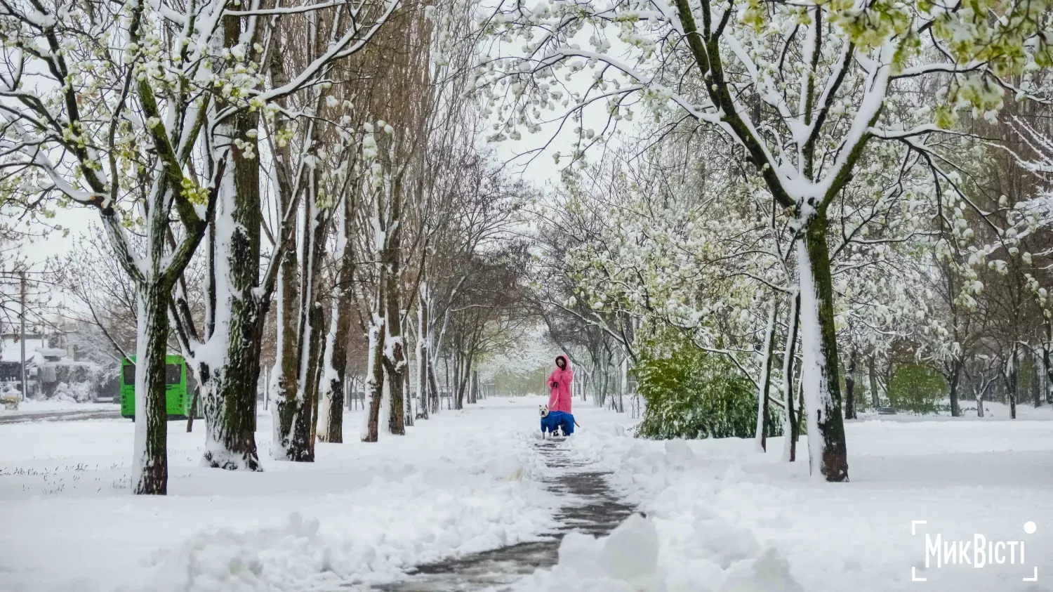 Засніжений парк у Миколаєві. Ілюстраційне фото: МикВісті