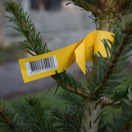 Приклади чіпів та штрих-кодів на ялинках. Фото: МикВісті