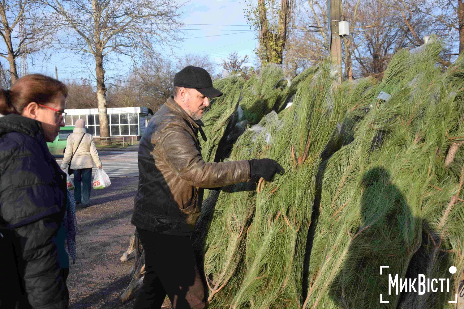 Ялинки на одній із точок продажу у Миколаєві. Фото: МикВісті