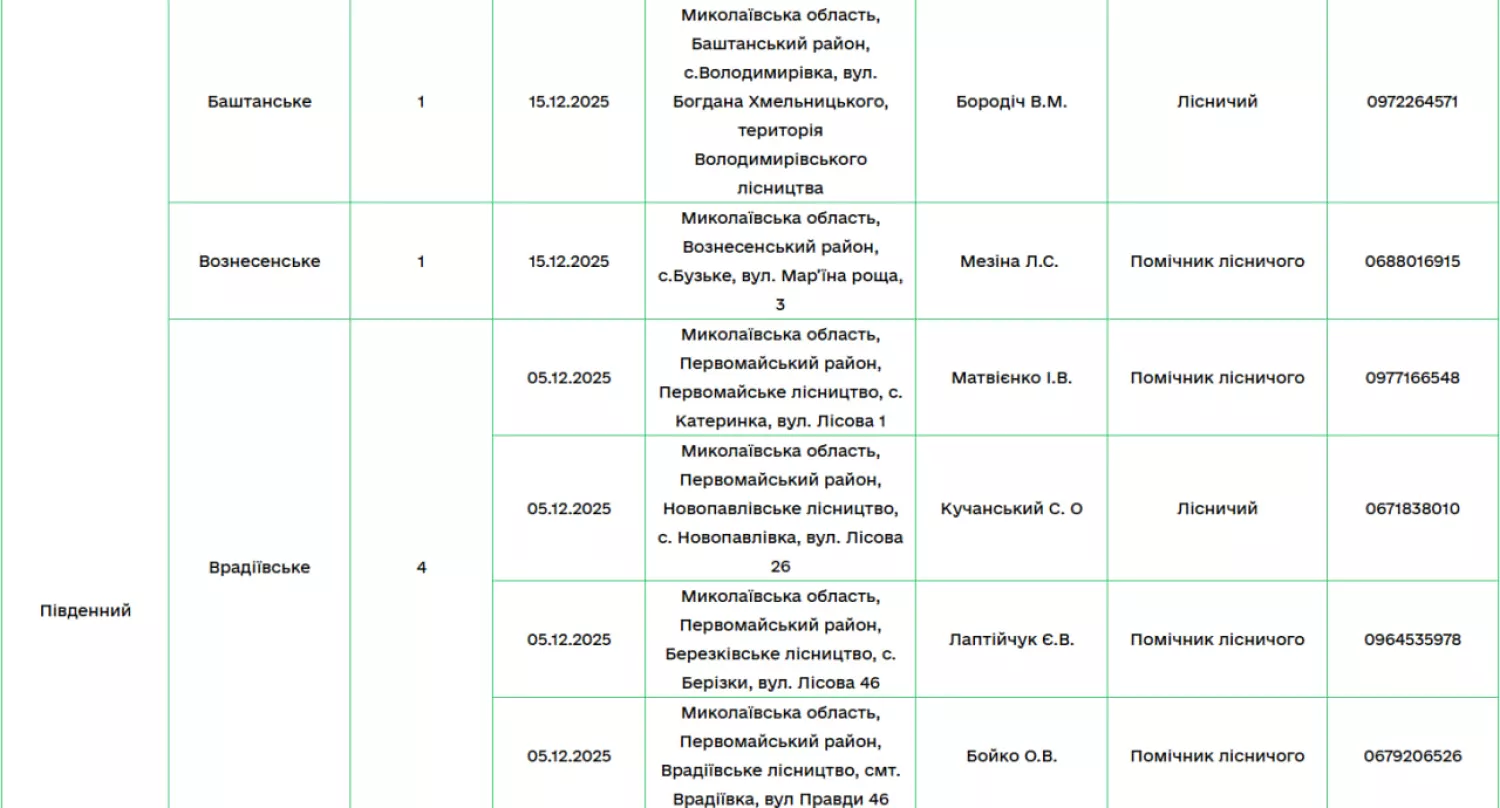 Офіційні пункти продажу ялинок від ДП «Ліси України». Фото: офіційний сайт підприємства