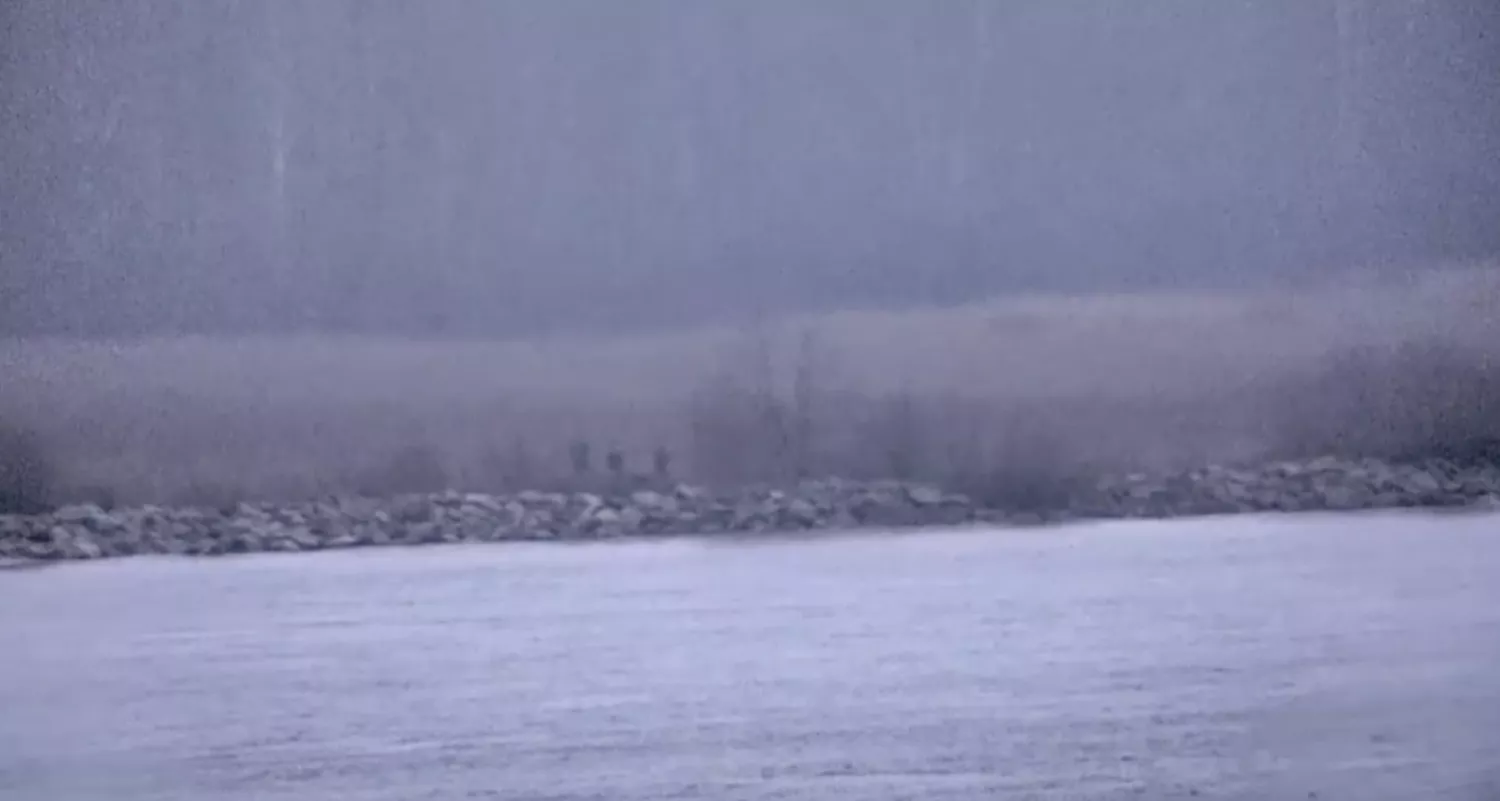 Скриншот з відео