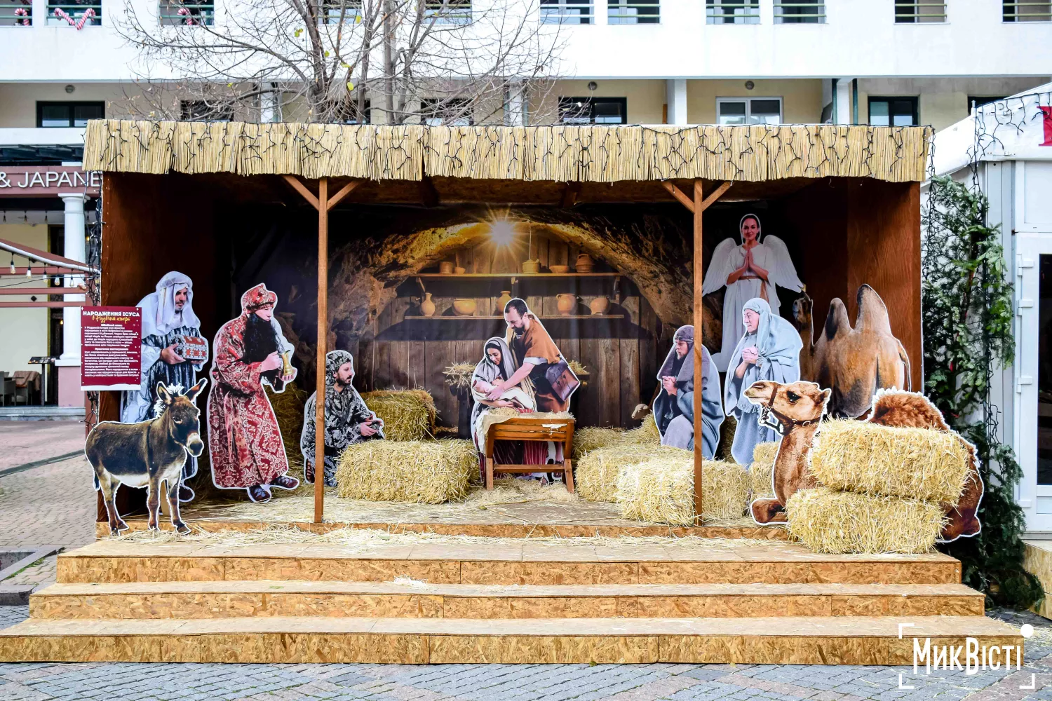 Одеса напередодні новорічних свят, грудень 2025 року, фото «НикВести»