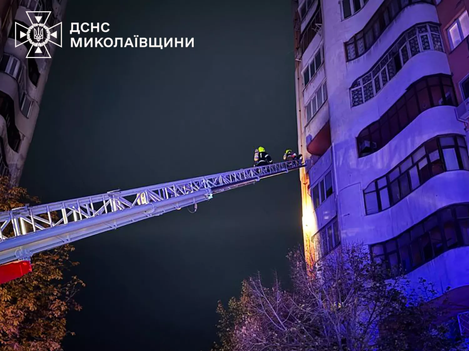 Пожежа на Миколаївщині. Фото: ДСНС