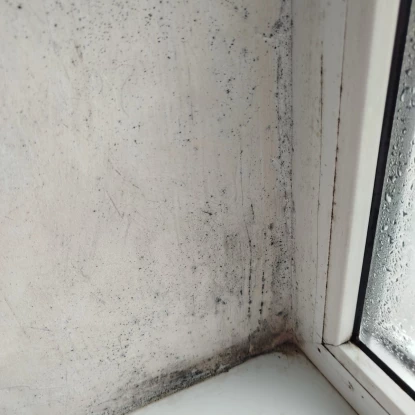 Пліснява на вікнах у гуртожитку, фото «НикВести» надали мешканці