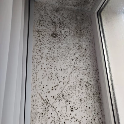 Пліснява на вікнах у гуртожитку, фото «НикВести» надали мешканці