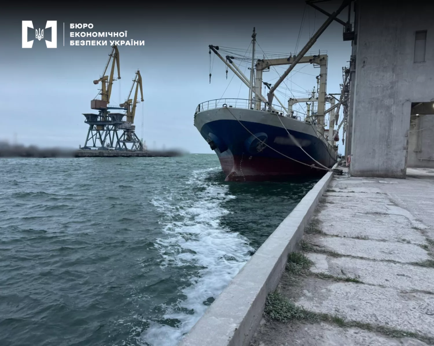 Одеський агротрейдер відшкодував 14,5 мільйонів гривень податків за незаконний експорт сої. Фото: БЕБ