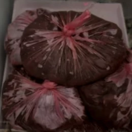 Умови зберігання продуктів харчування на ТОВ «ПРОССЕККО 8» 12 грудня 2025 року. Фото від джерел НикВести