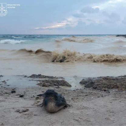 Узбережжя Одеси. Фото: Одеська обласна прокуратура