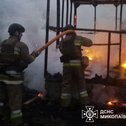 Пожежа на Миколаївщині. Фото: ДСНС