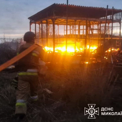 Пожежа на Миколаївщині. Фото: ДСНС