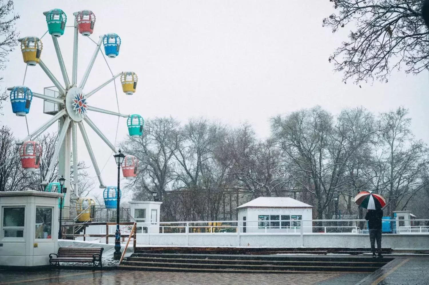 Сильний вітер, ожеледиця та сніг: якою буде погода на Миколаївщині 26 грудня. Фото: Світлана Коваль