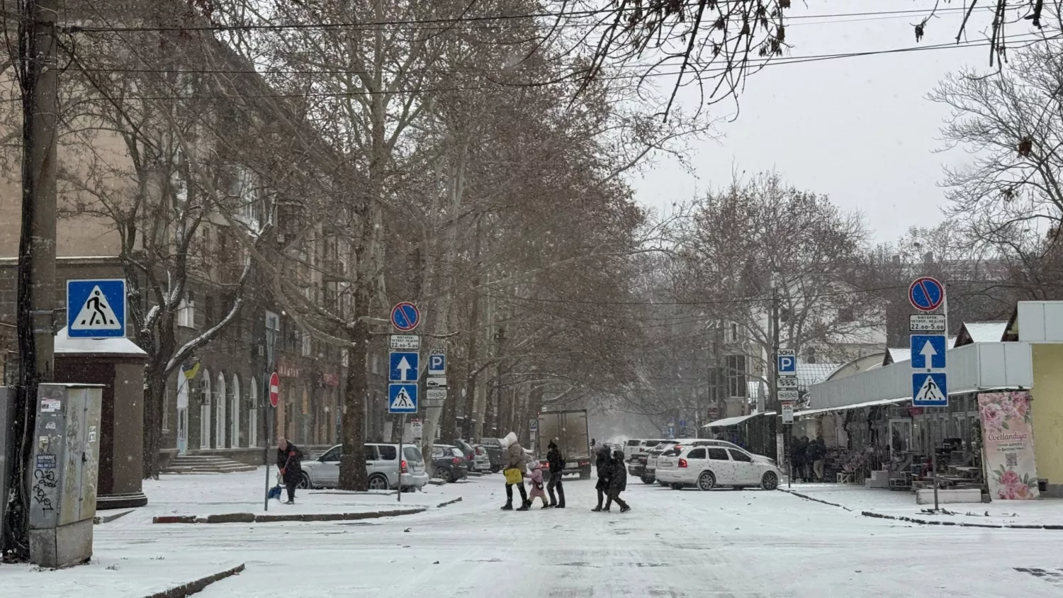 Перший сніг у Миколаєві в 2025 році. Фото: НикВести