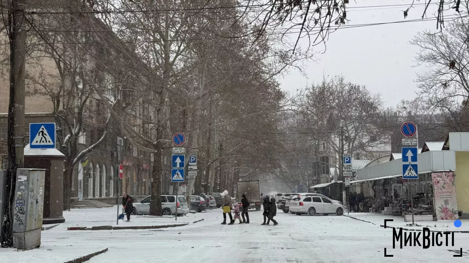 Перший сніг у Миколаєві в 2025 році. Фото: НикВести