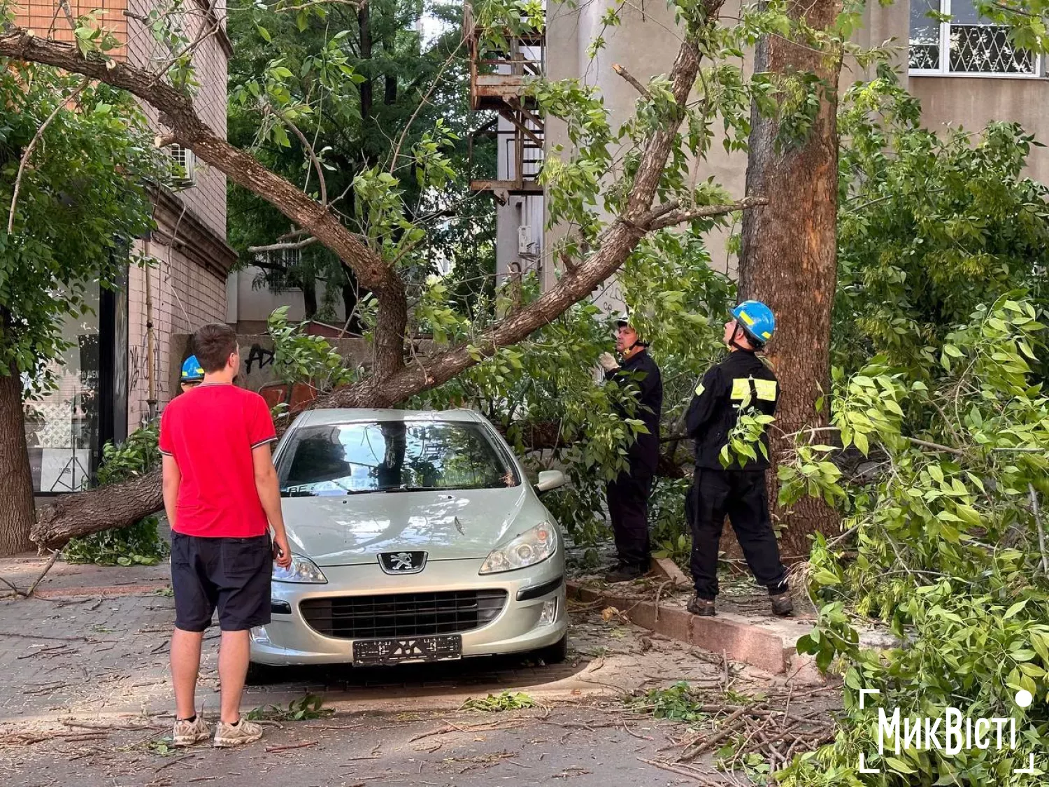 КП &laquo;Парки&raquo; заклало у ₴1,3 млн на компенсацію за падіння гілок на машини. Фото: архів &laquo;NikVesti&raquo;