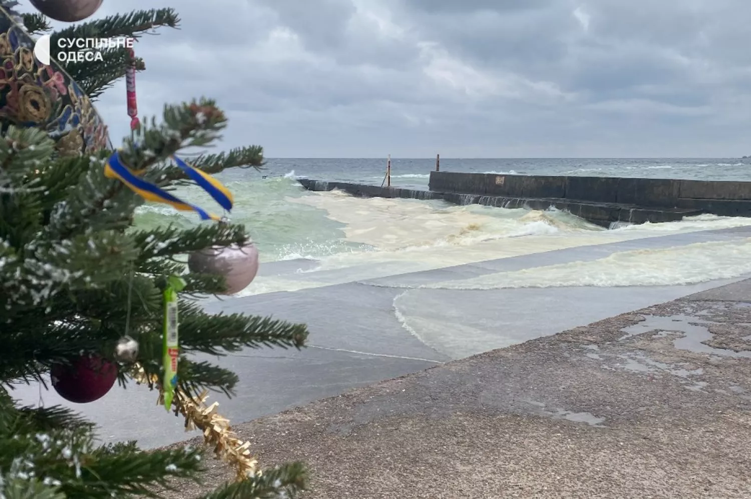 Олія у Чорному морі поблизу одного з пляжів Одеси, 24 грудня 2025 року. Фото: Суспільне Одеса
