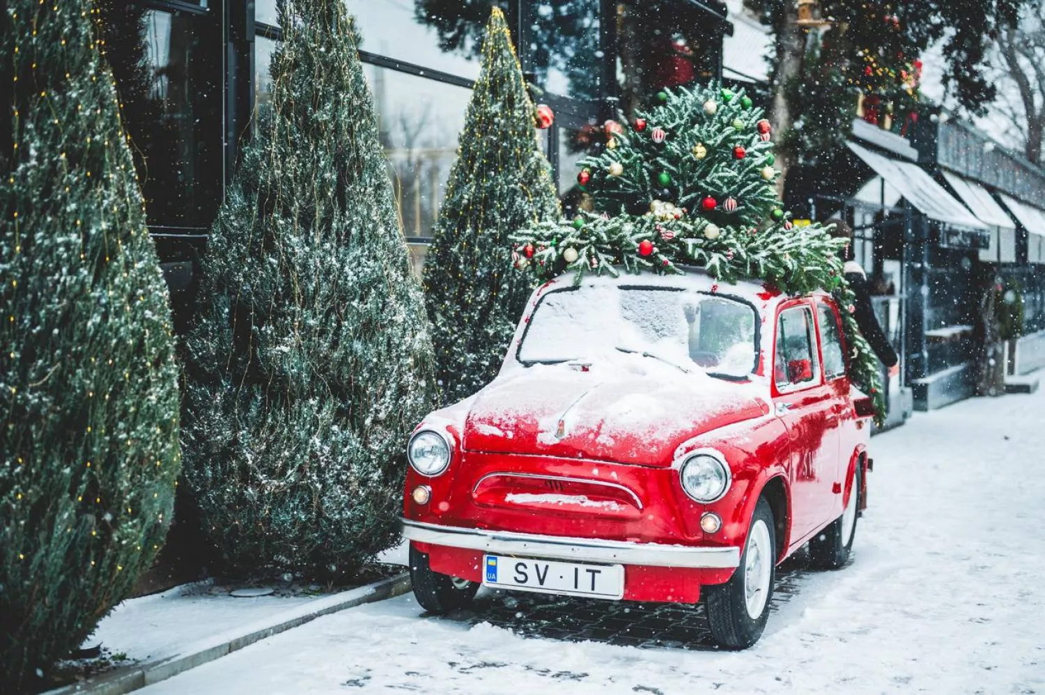 Перший сніг у Миколаєві у 2025 році. Фото: Світлана Коваль