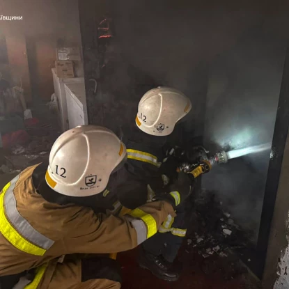 Пожежа будинку у Миколаївській області, фото: ДСНС