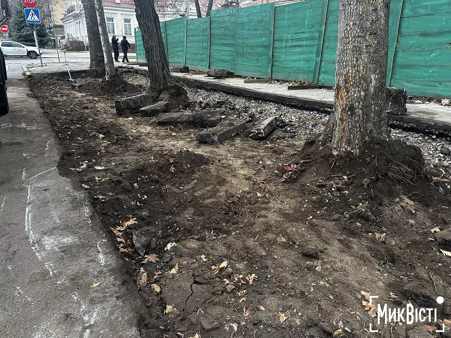 Підрядник пошкодив коріння дерев біля Дому Юріцина в Миколаєві, фото НикВести