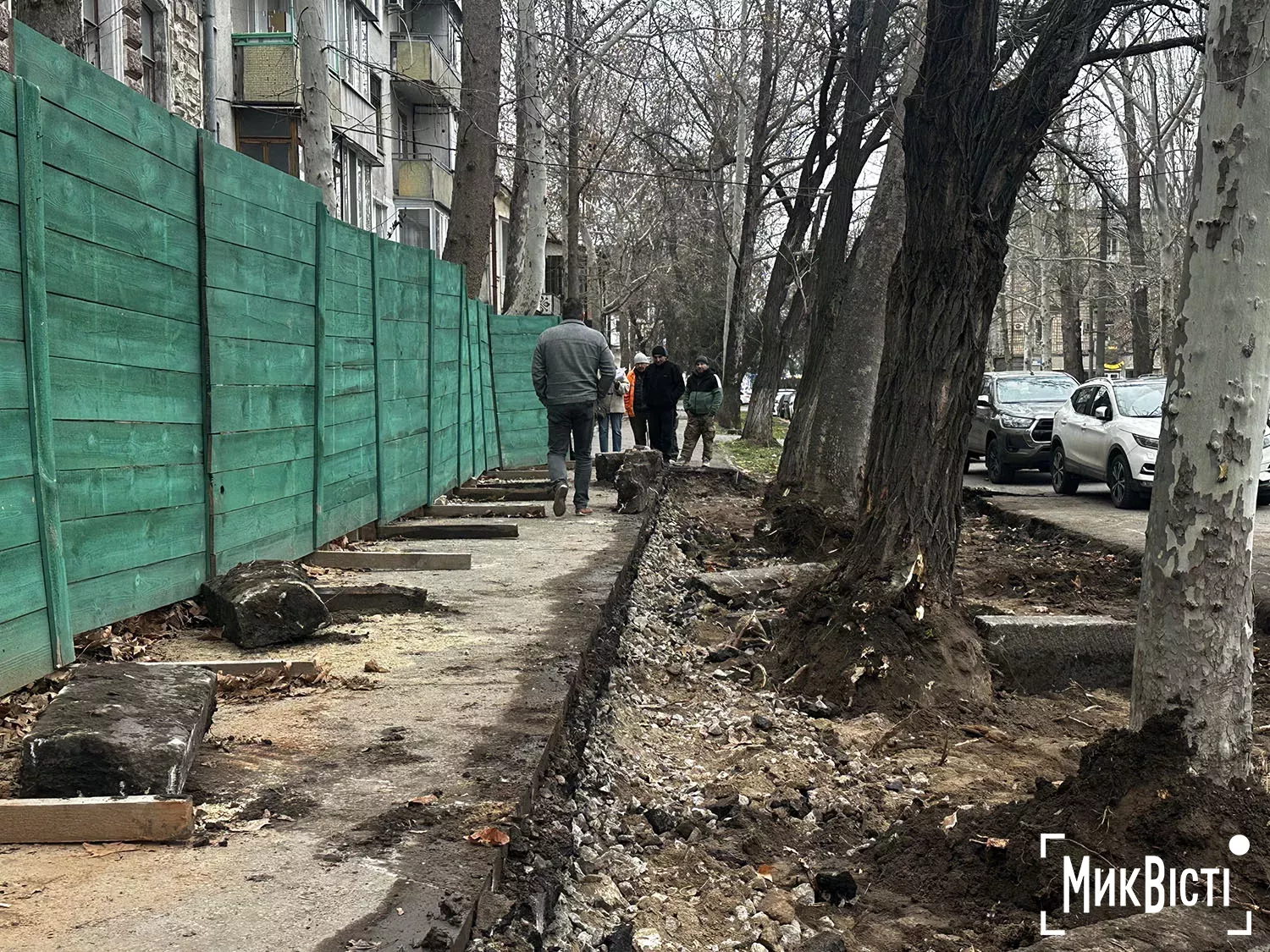 Підрядник пошкодив коріння дерев біля Дому Юріцина в Миколаєві, фото НикВести