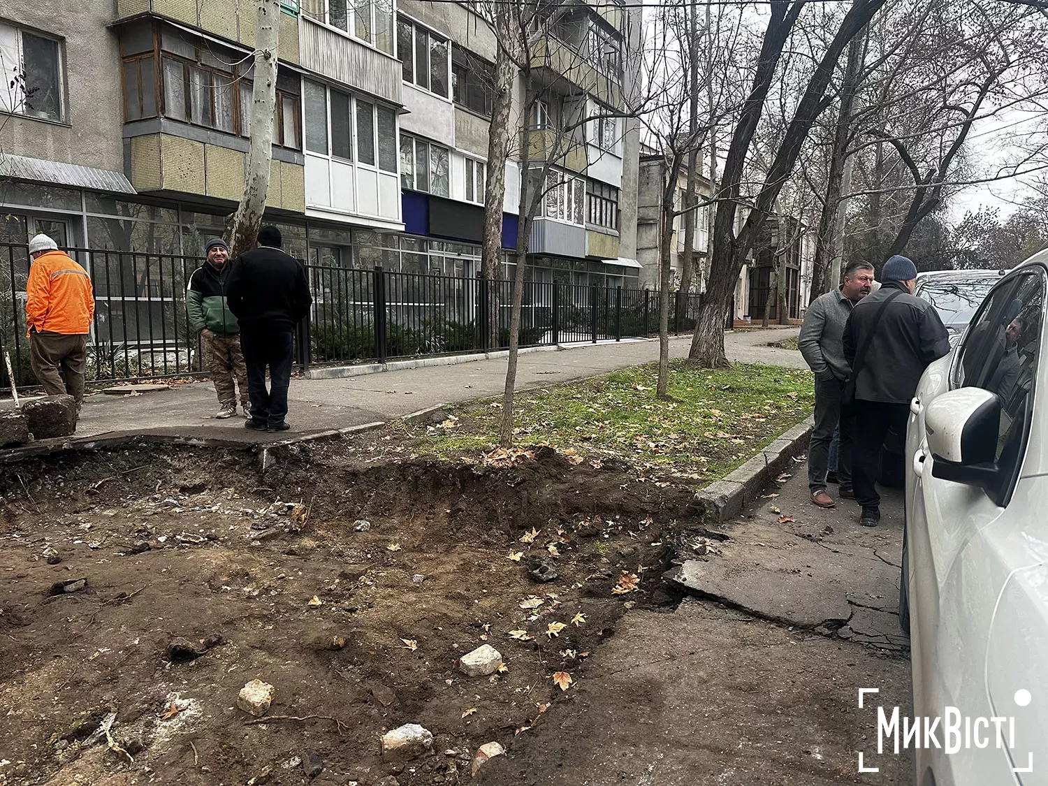 Підрядник пошкодив коріння дерев біля Дому Юріцина в Миколаєві, фото НикВести