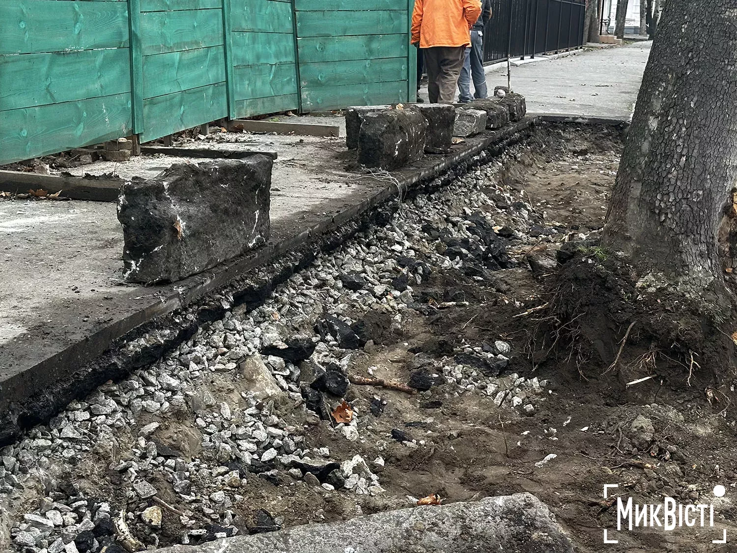 Підрядник пошкодив коріння дерев біля Дому Юріцина в Миколаєві, фото НикВести