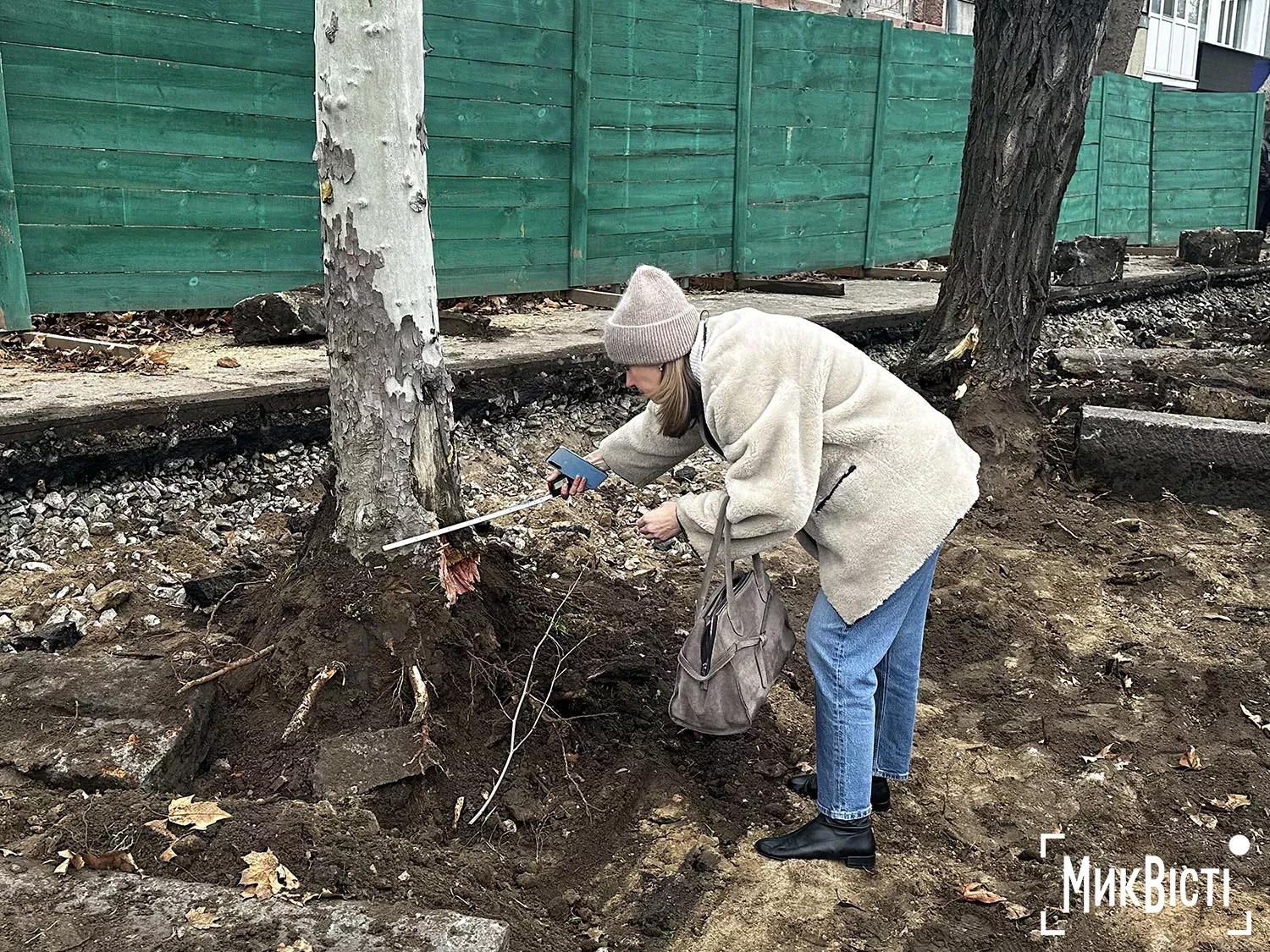 Екоінспектори обстежили дерева та склали акт, фото НикВести