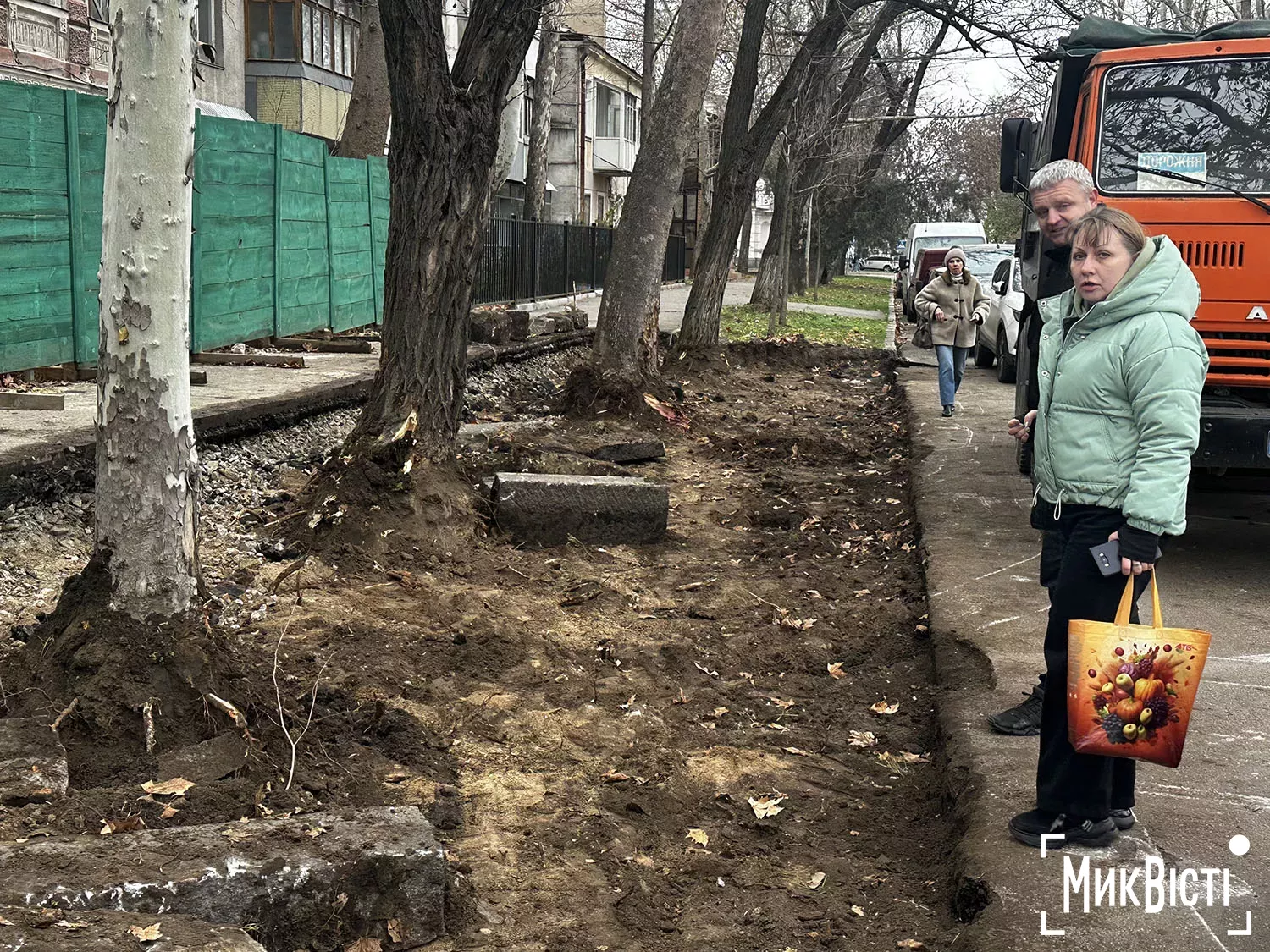 Підрядник пошкодив коріння дерев біля Дому Юріцина в Миколаєві, фото НикВести