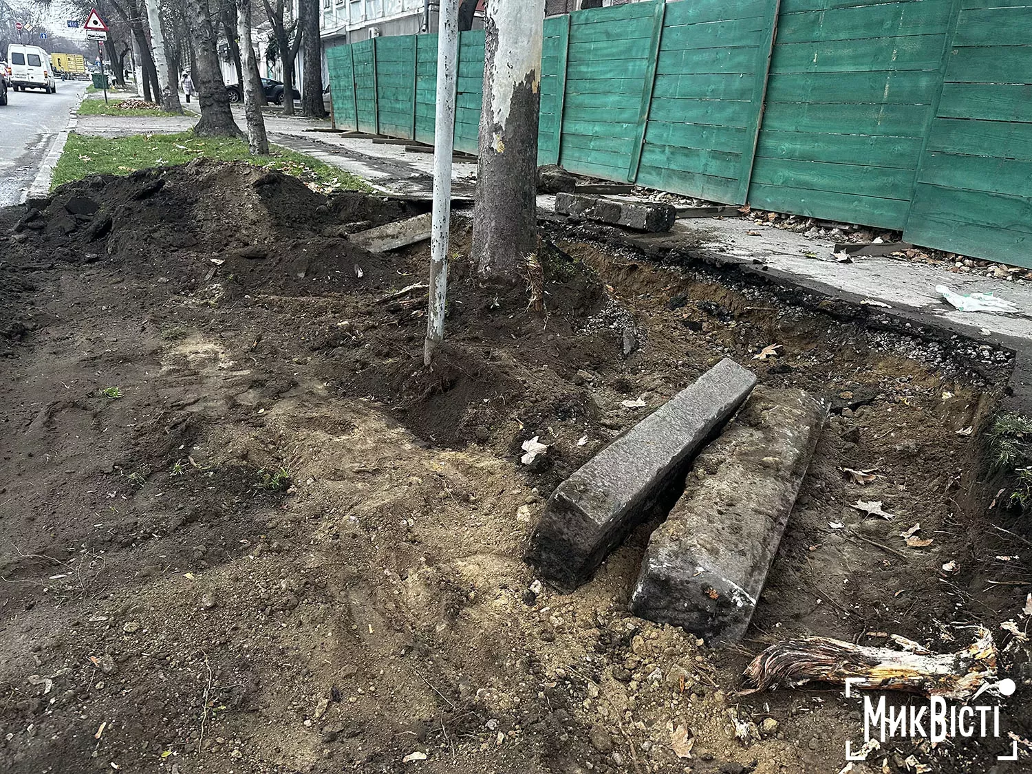 Підрядник пошкодив коріння дерев біля Дому Юріцина в Миколаєві, фото НикВести