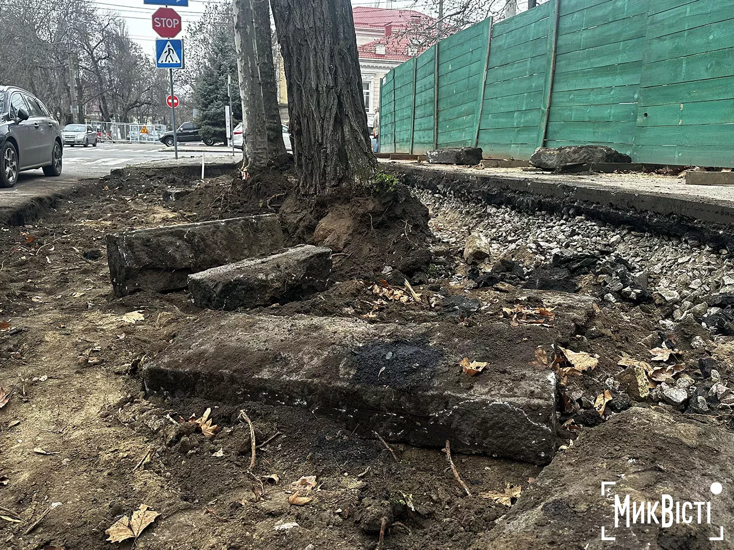 Підрядник пошкодив коріння дерев біля Дому Юріцина в Миколаєві, фото НикВести