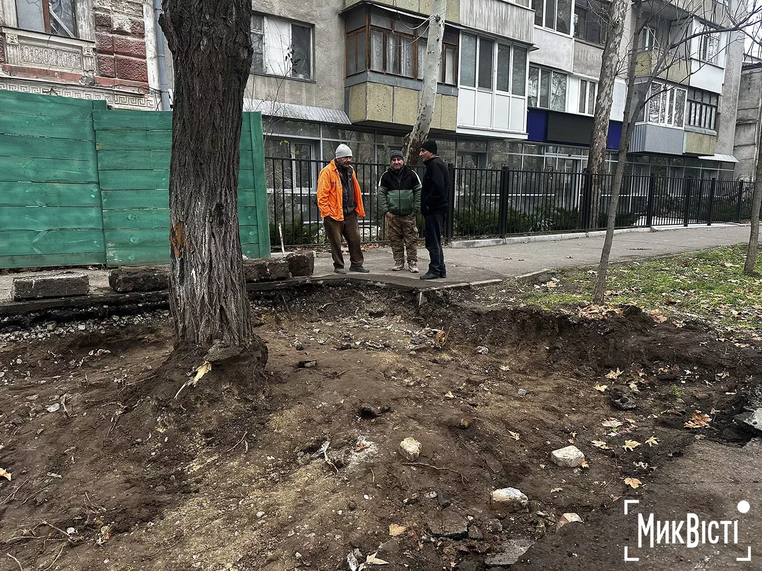Підрядник пошкодив коріння дерев біля Дому Юріцина в Миколаєві, фото НикВести
