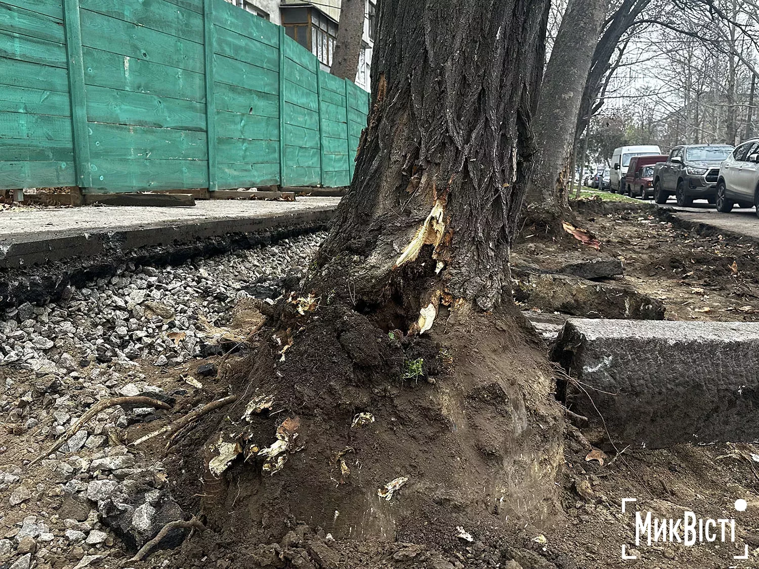Підрядник пошкодив коріння дерев біля Дому Юріцина в Миколаєві, фото НикВести