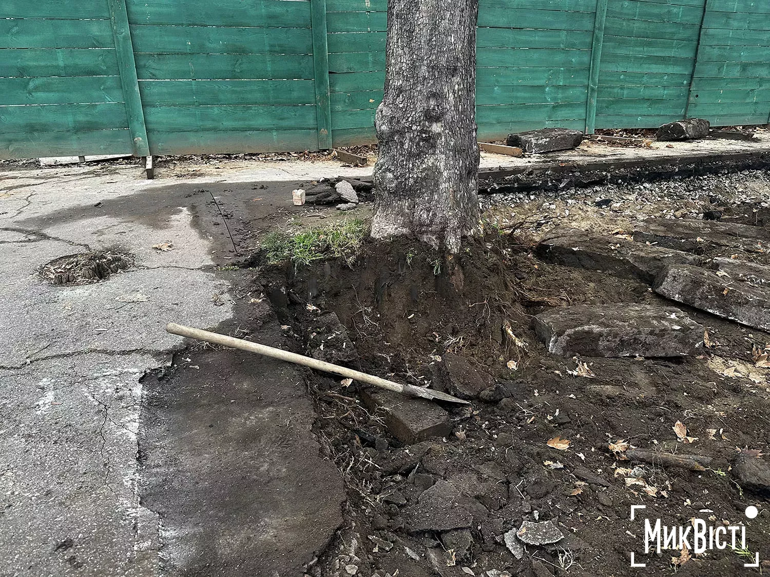 Підрядник пошкодив коріння дерев біля Дому Юріцина в Миколаєві, фото НикВести