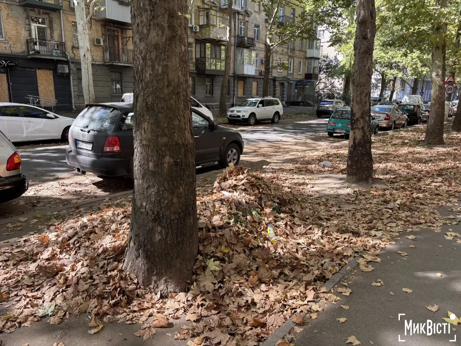 Неприбране листя. Фото для ілюстрації з архіву «НикВести»